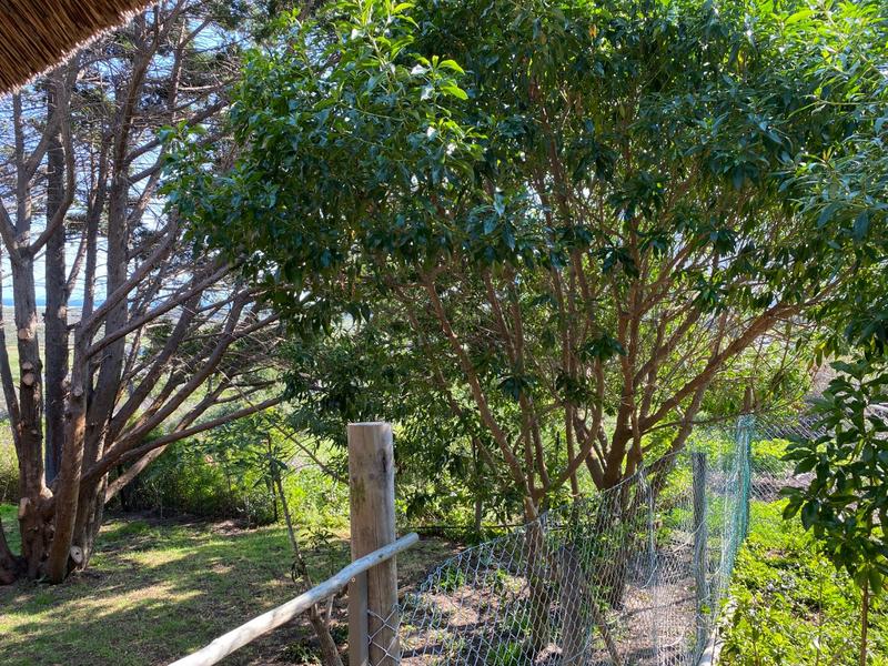 To Let 2 Bedroom Property for Rent in Crofters Valley Western Cape